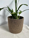 Junoa Plant Pot