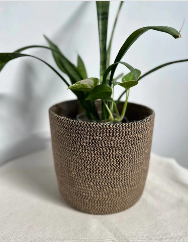 Junoa Plant Pot